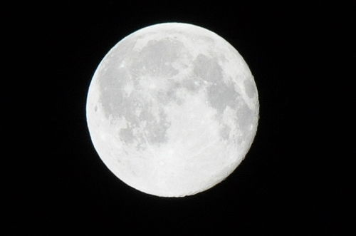 今日の一枚「Full Moon」