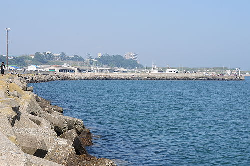 今日の一枚「海釣り」