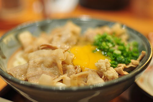 今日の一枚「讃岐うどん」