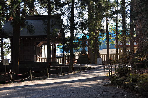 いい雰囲気の神社だった。