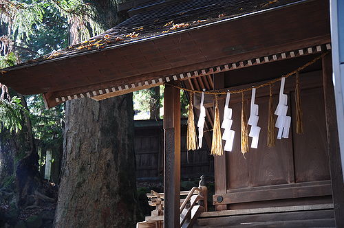 いい雰囲気の神社だった。