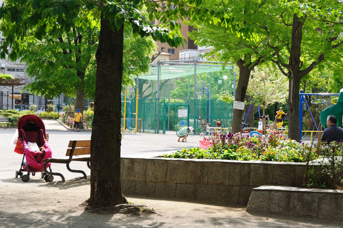 今日の一枚「光差す公園」