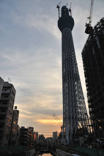 今日の一枚「夕暮れの東京スカイツリー」